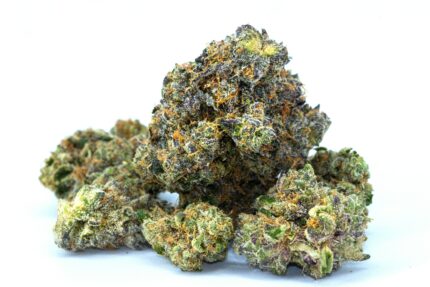 GMO Cookies strain with high THC level and garlic diesel terpene profile