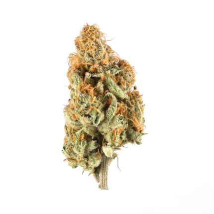 Durban Poison