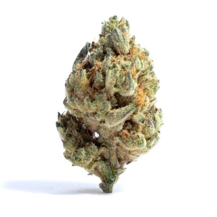 Forbidden Fruit