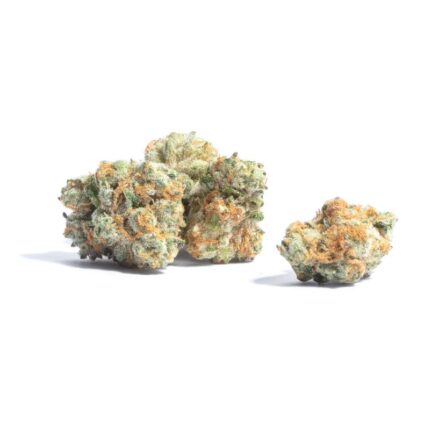 Girl Scout Cookies