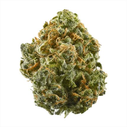 Hindu Kush