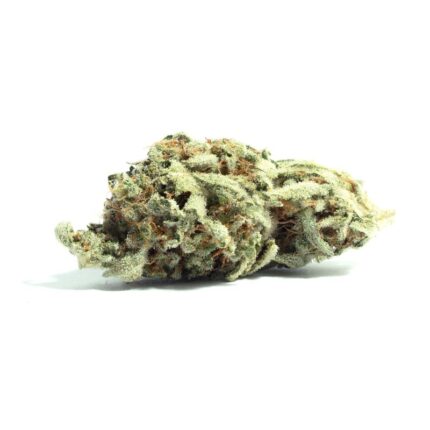 Jack Herer