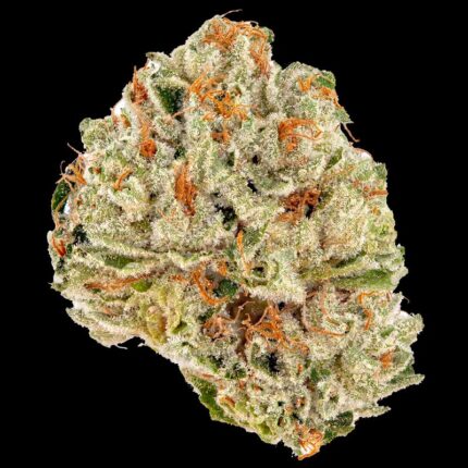 Purple Haze