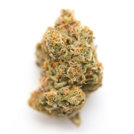 Purple Punch