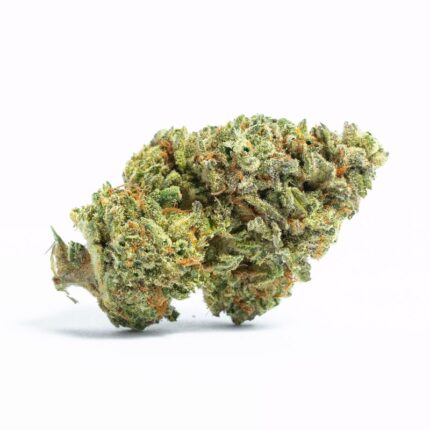 Socrates Sour
