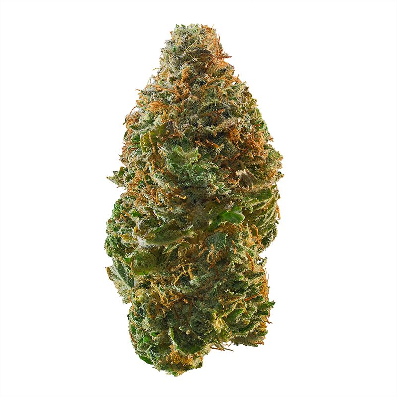 Trainwreck