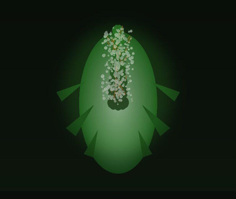 Buy Sativa Weed Online: Top Strains for Energy & Focus
